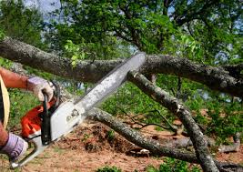 Best Lawn Mowing  in Live Oak, CA